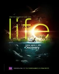 Фильмы и сериалы Discovery смотреть онлайн в HD качестве на Лордфильм