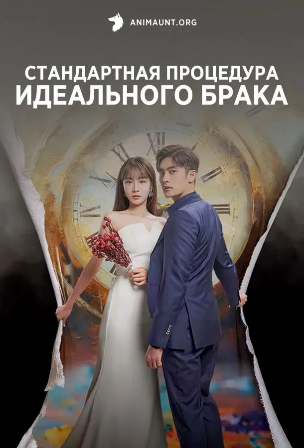 Стандартная процедура идеального брака (1 сезон 1-10,11,12 серия) смотреть онлайн