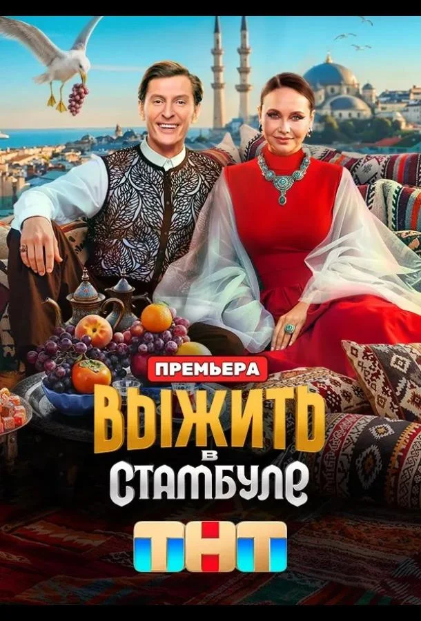 Выжить в Стамбуле (1 сезон 1-12,13,14 серия) смотреть онлайн