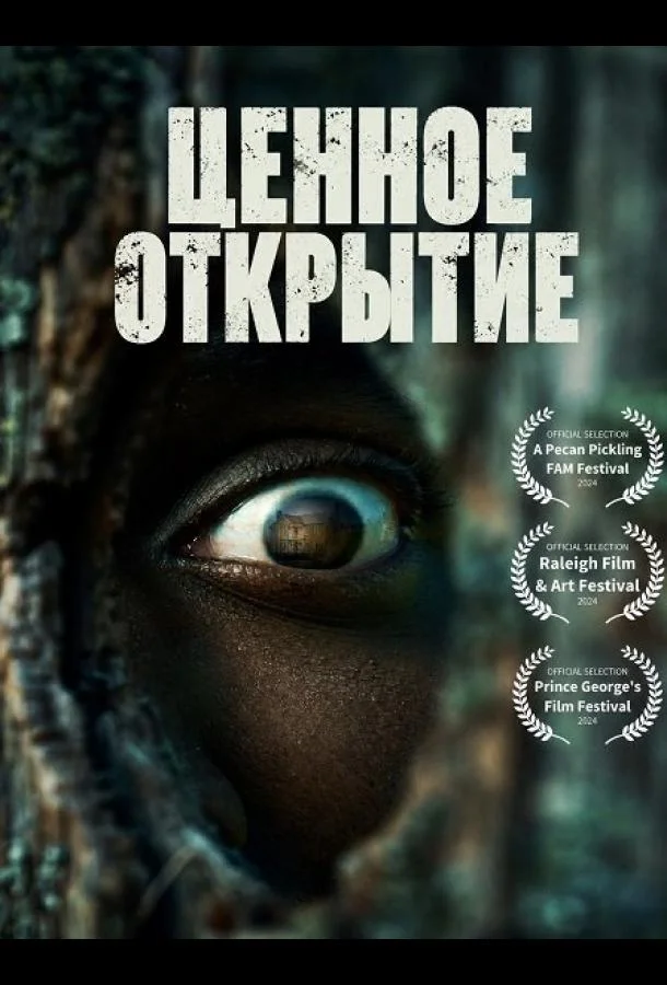 Ценное открытие (2026) смотреть онлайн