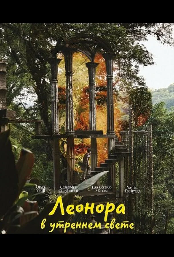 Леонора в утреннем свете (2024) смотреть онлайн