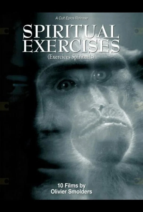 Любитель (1996) смотреть онлайн