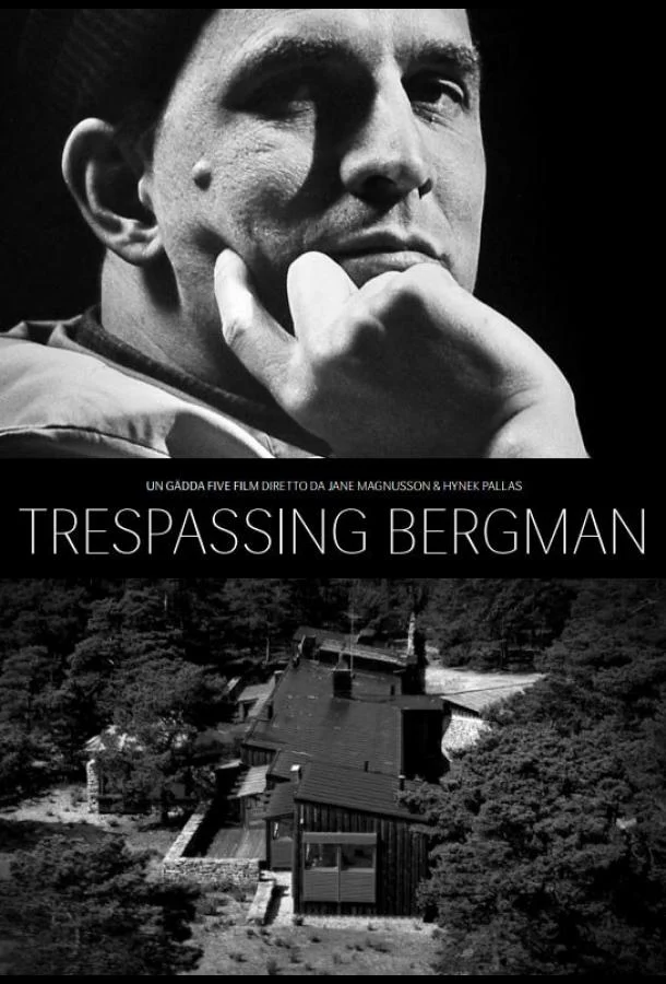 Вторжение к Бергману (2013) смотреть онлайн