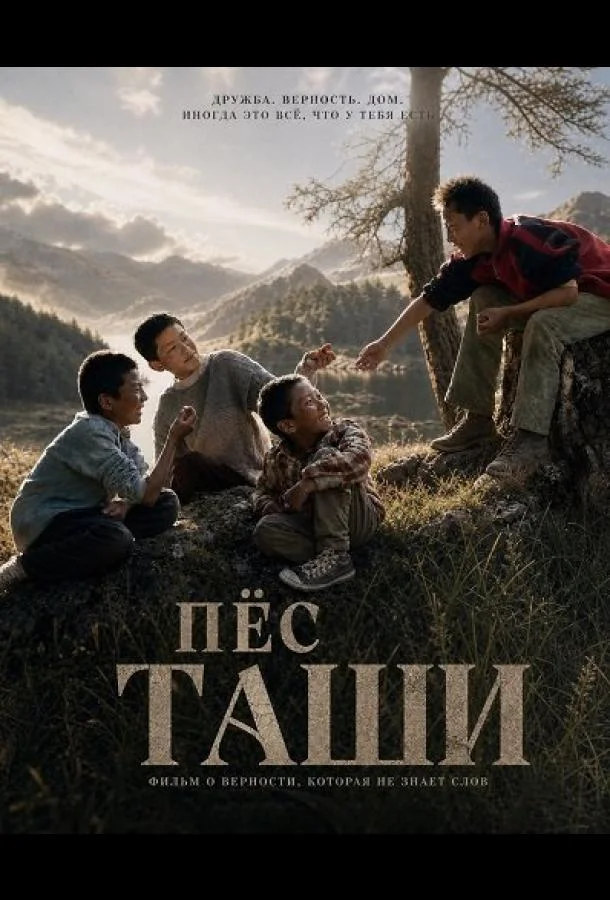 Пёс Таши (2024) смотреть онлайн