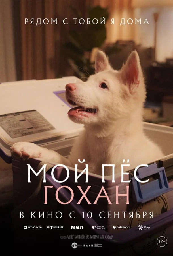 Мой пёс Гохан (2026) смотреть онлайн