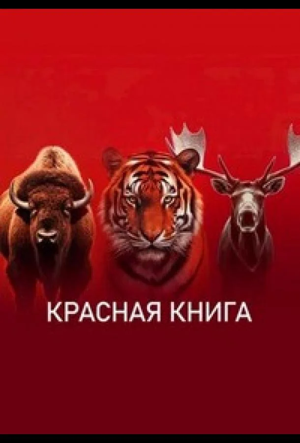 Красная книга (1 сезон 1-2,3,4 серия) смотреть онлайн