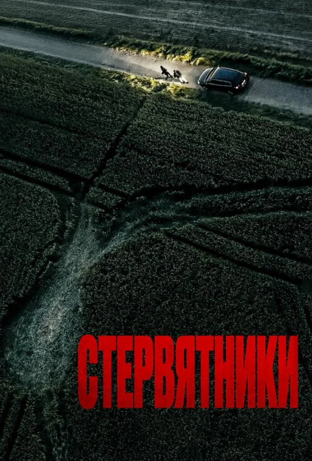 Стервятники (2025) смотреть онлайн