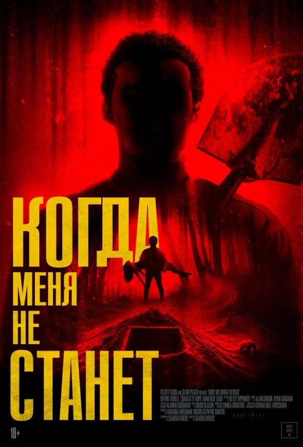 Когда меня не станет (2025) смотреть онлайн