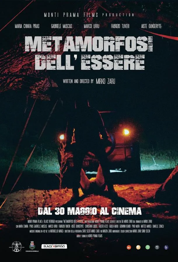 Метаморфоза бытия (2024) смотреть онлайн