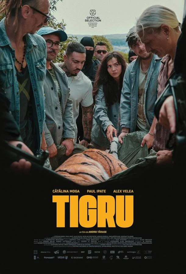 День тигра (2023) смотреть онлайн