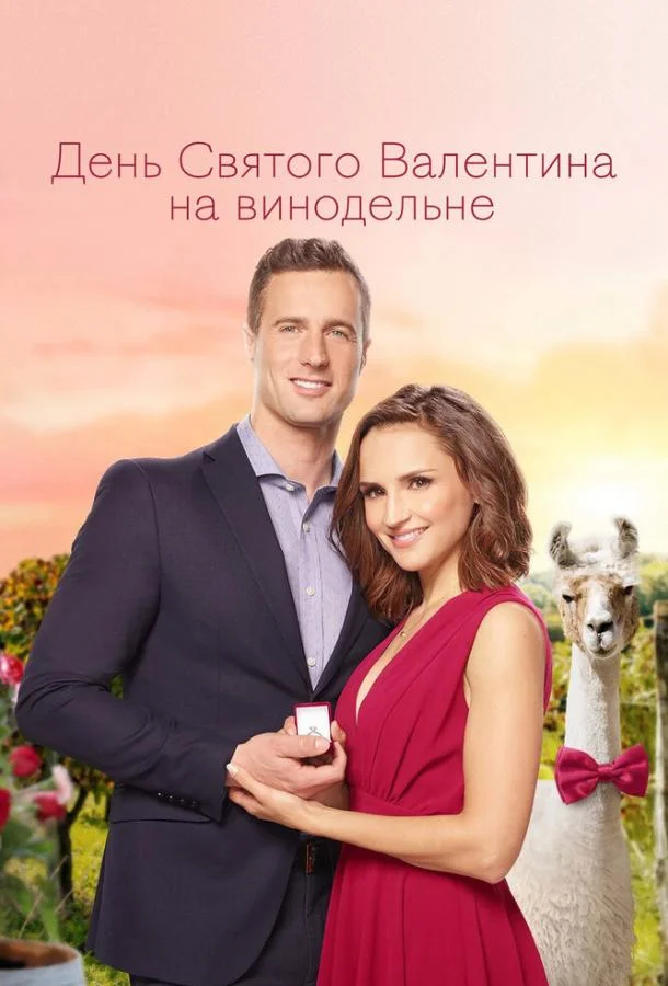 День Святого Валентина на винодельне (2019) смотреть онлайн