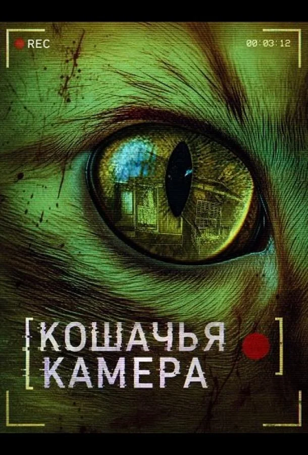 Кошачья камера (2026) смотреть онлайн