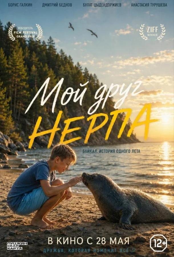 Мой друг нерпа (2025) смотреть онлайн